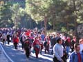 Foto Santa Eulalia 24