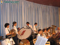 Bandas Muscica 10