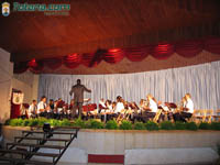 Bandas Muscica 14