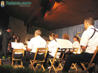 Bandas Muscica 15