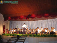 Bandas Muscica 17