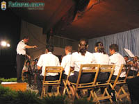 Bandas Muscica 18