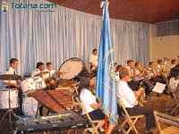 Bandas Muscica 20