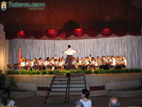 Bandas Muscica 21