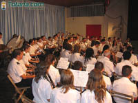 Bandas Muscica 24