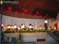 Bandas Muscica 27