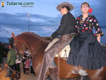 Foto Caballos 11