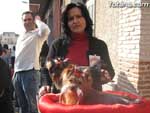 Concurso Canino - 6