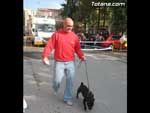 Concurso Canino - 9