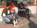 Concurso Canino - 11