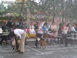 Concurso Canino - 15