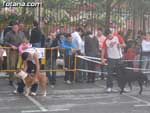 Concurso Canino - 16