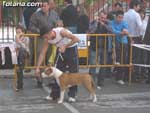 Concurso Canino - 17