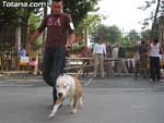 Concurso Canino - 18