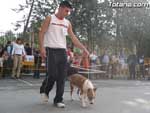 Concurso Canino - 20