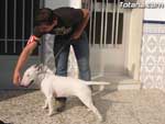 Concurso Canino - 21