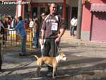 Concurso Canino - 22