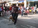 Concurso Canino - 24