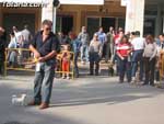 Concurso Canino - 25