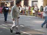 Concurso Canino - 26