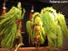 Premios Carnaval 2006 - 16