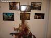 Dioramas navidad- 57