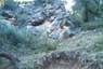 Foto Nevada Sierra Espu�a 4