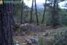 Foto Nevada Sierra Espu�a 5