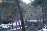 Foto Nevada Sierra Espu�a 8