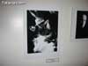 Crearte Joven - 13