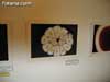 Crearte Joven - 24