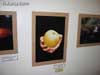 Crearte Joven - 40