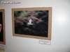 Crearte Joven - 41