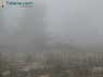 Foto Sierra de Guadaperos y Pe�amaria 19