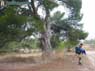 Foto Sierra de Guadaperos y Pe�amaria 50