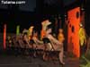 Festival Danza - 14