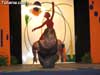 Festival Danza - 48