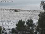 Nieve sierraespu�a 1