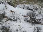 Nieve sierraespu�a 2