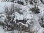 Nieve sierraespu�a 3