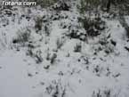 Nieve sierraespu�a 5