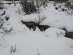 Nieve sierraespu�a 6
