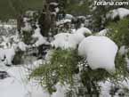 Nieve sierraespu�a 8