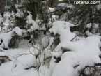 Nieve sierraespu�a 9