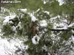 Nieve sierraespu�a 10