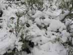 Nieve sierraespu�a 11