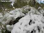 Nieve sierraespu�a 12