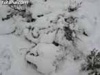 Nieve sierraespu�a 15