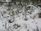 Nieve sierraespu�a 16