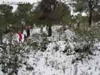Nieve sierraespu�a 17